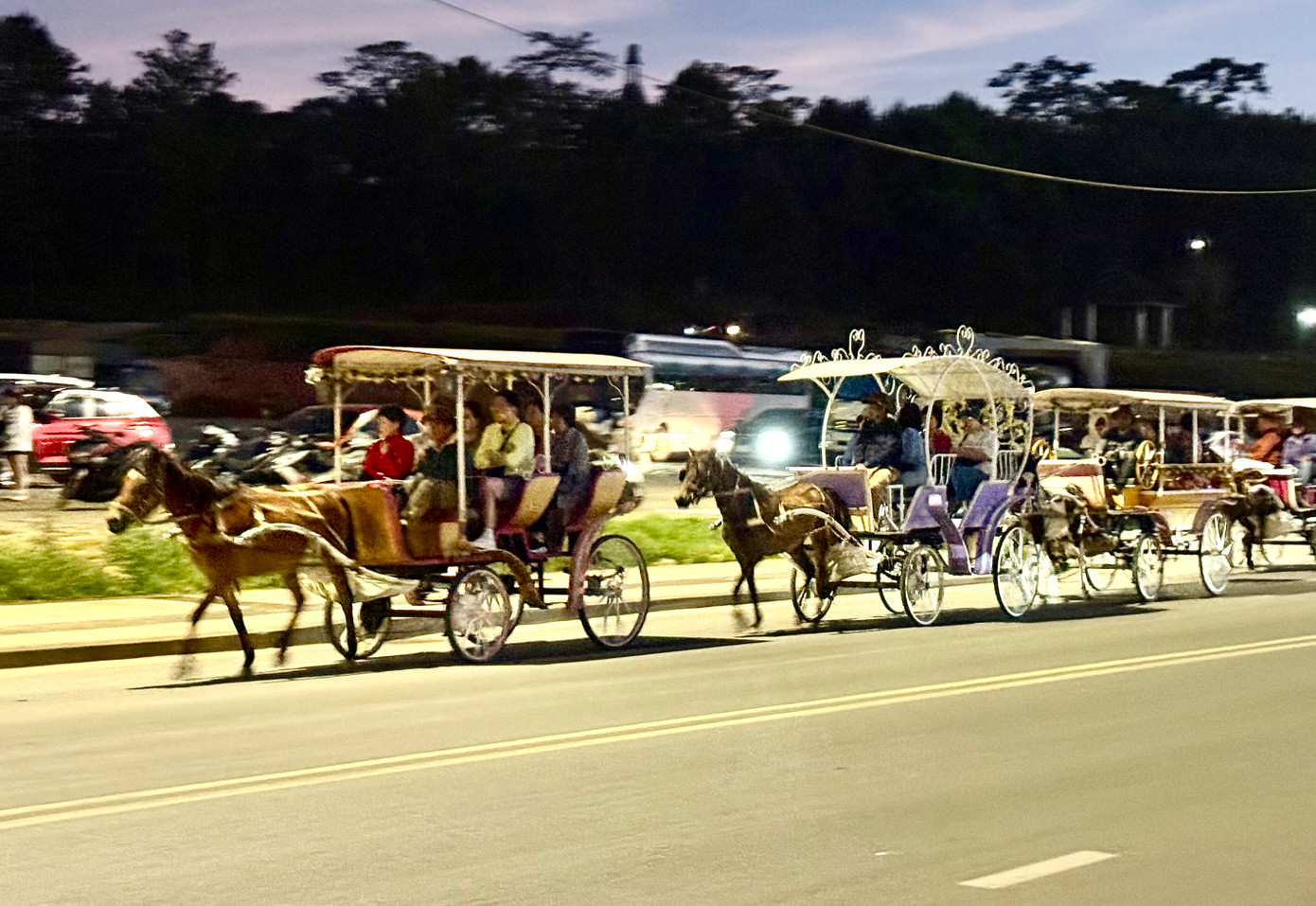 Dịch vụ xe ngựa chở khách tại hồ Xuân Hương được hoạt động hết tháng 3.