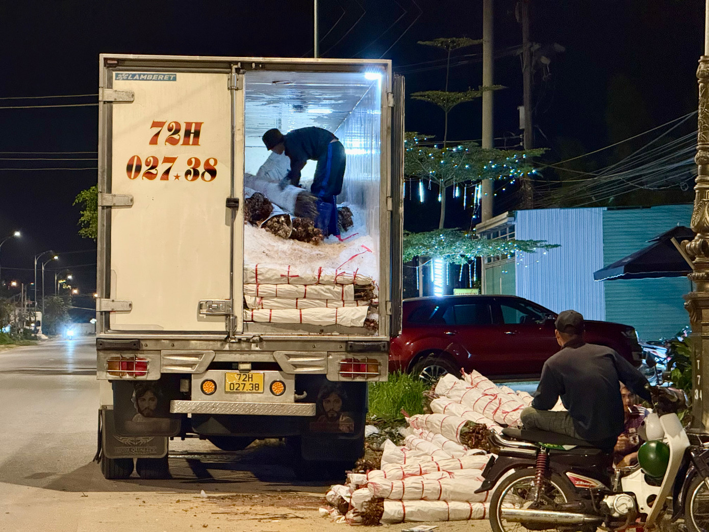 Theo Sở Nông nghiệp và Phát triển nông thôn Lâm Đồng, diện tích các loại hoa gieo trồng phục vụ thị trường Tết Nguyên đán 2025 toàn tỉnh khoảng 3.800 ha. Trong đó, sản lượng hoa chậu phục vụ Tết ước khoảng 7 triệu chậu, hoa cắt cành cung ứng ra thị trường giai đoạn Tết khoảng 1,5 tỷ cành. Ảnh: Thái Lâm.