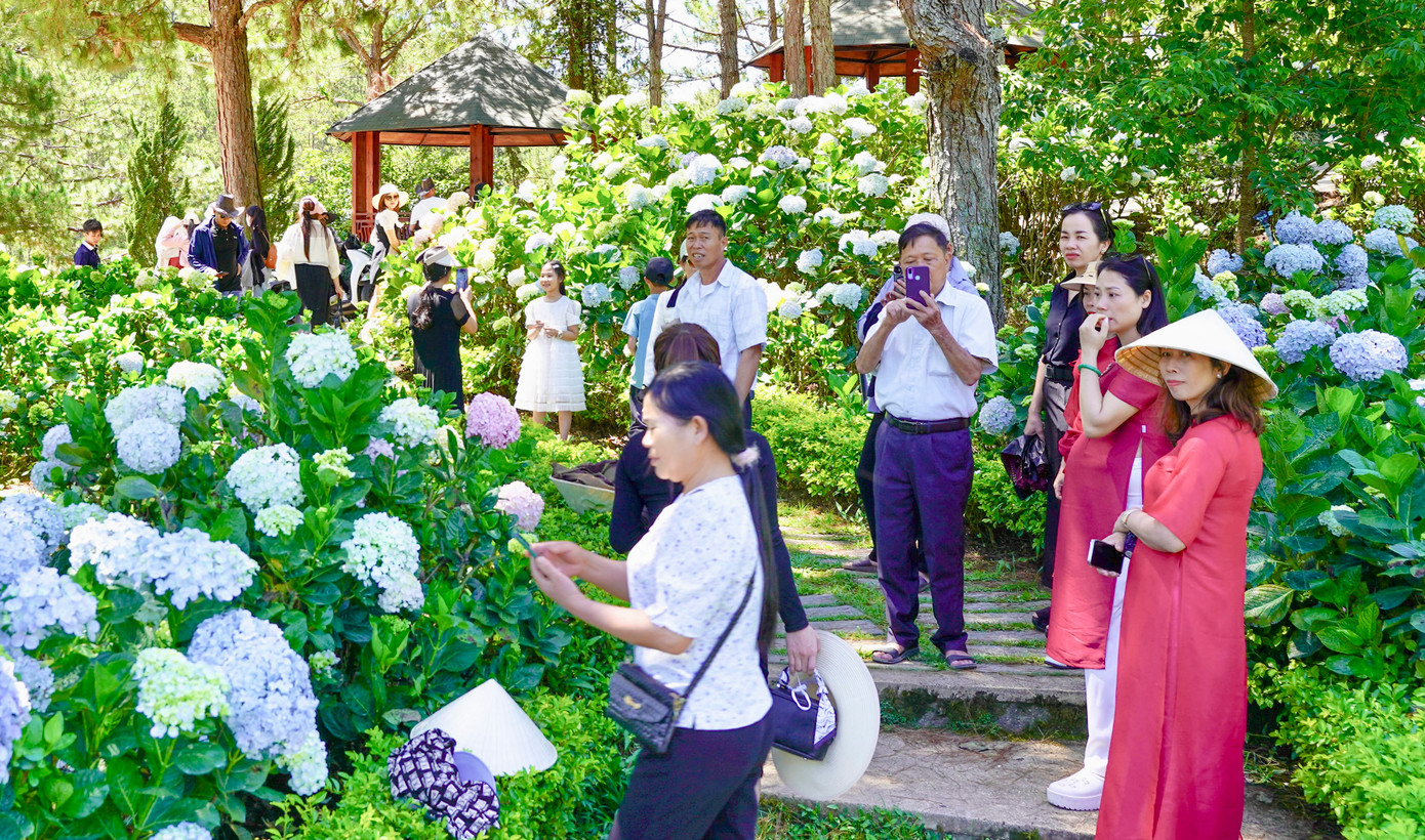 Lượng khách đến Lâm Đồng tăng khoảng 14,3% so với cùng kỳ năm 2024.