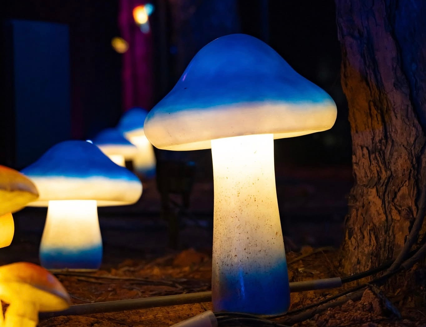 Delight Park sẽ trở thành một điểm nhấn quan trọng trên bản đồ du lịch của tỉnh Lâm Đồng, góp phần thúc đẩy kinh tế, văn hóa và nâng cao chất lượng trải nghiệm cho du khách, gia tăng sản phẩm du lịch và kinh tế đêm của thành phố Đà Lạt.