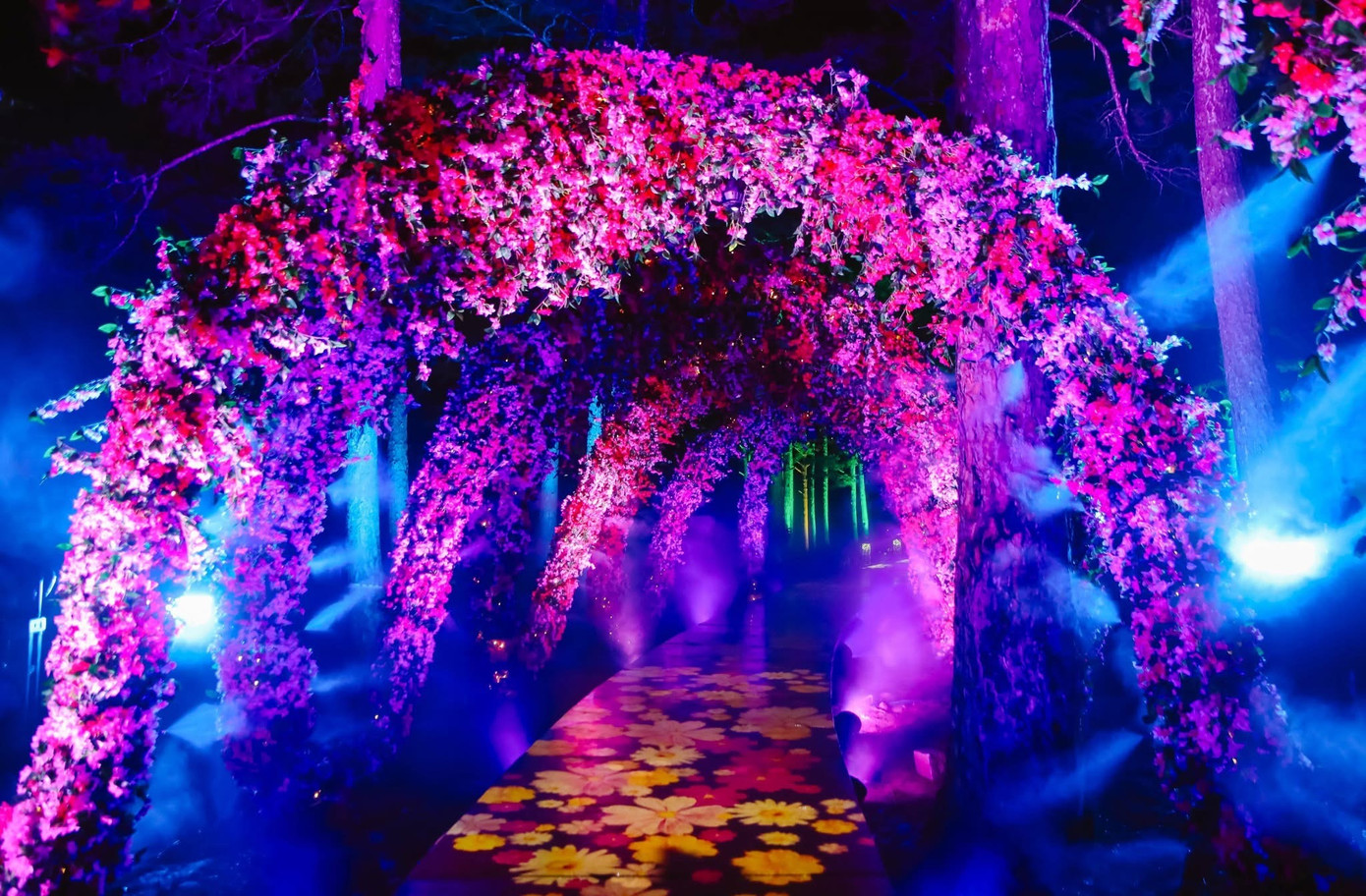 "Không chỉ là điểm đến giải trí, Delight Park Đà Lạt còn là cầu nối giữa quá khứ và hiện tại, giữ gìn giá trị văn hóa, lịch sử của hồ Than Thở. Công viên còn mở ra cơ hội để quảng bá hình ảnh Đà Lạt ra thế giới", ông Tuấn chia sẻ.