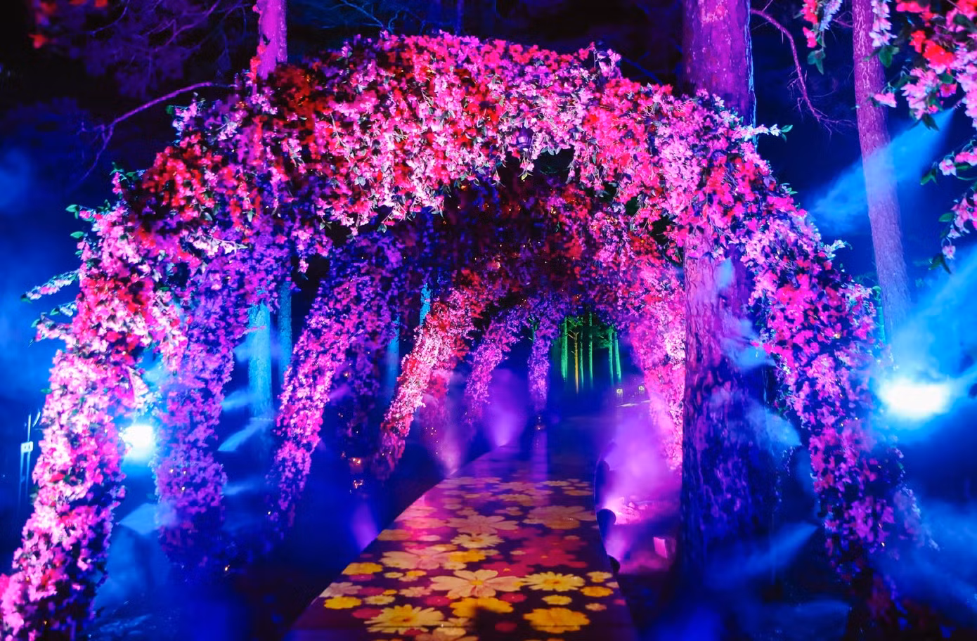 "Không chỉ là điểm đến giải trí, Delight Park Đà Lạt còn là cầu nối giữa quá khứ và hiện tại, giữ gìn giá trị văn hóa, lịch sử của hồ Than Thở. Công viên còn mở ra cơ hội để quảng bá hình ảnh Đà Lạt ra thế giới", ông Tuấn chia sẻ.