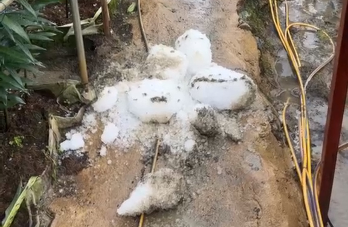 Đá rơi có kích thước nhỏ, kèm theo mưa lớn và gió giật mạnh. Đá rơi có kích thước nhỏ, kèm theo mưa lớn và gió giật mạnh.