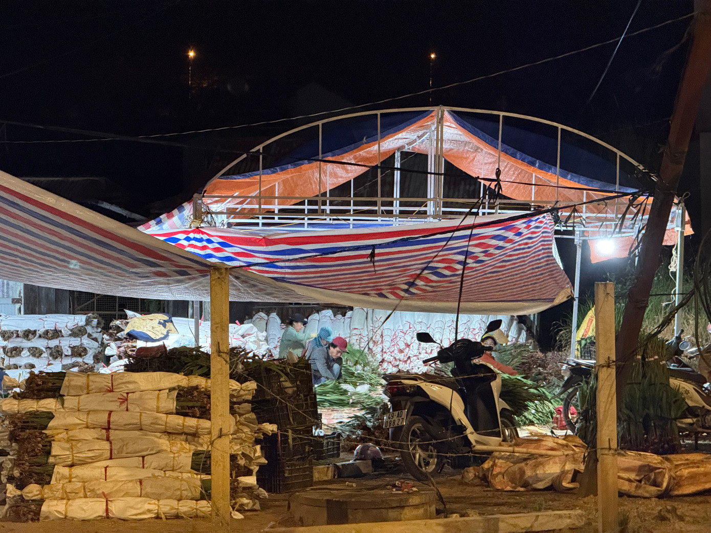 Đó là các điểm thu mua hoa lay ơn trên địa bàn "thủ phủ hoa lay ơn" của tỉnh Lâm Đồng. Ảnh: Thái Lâm.