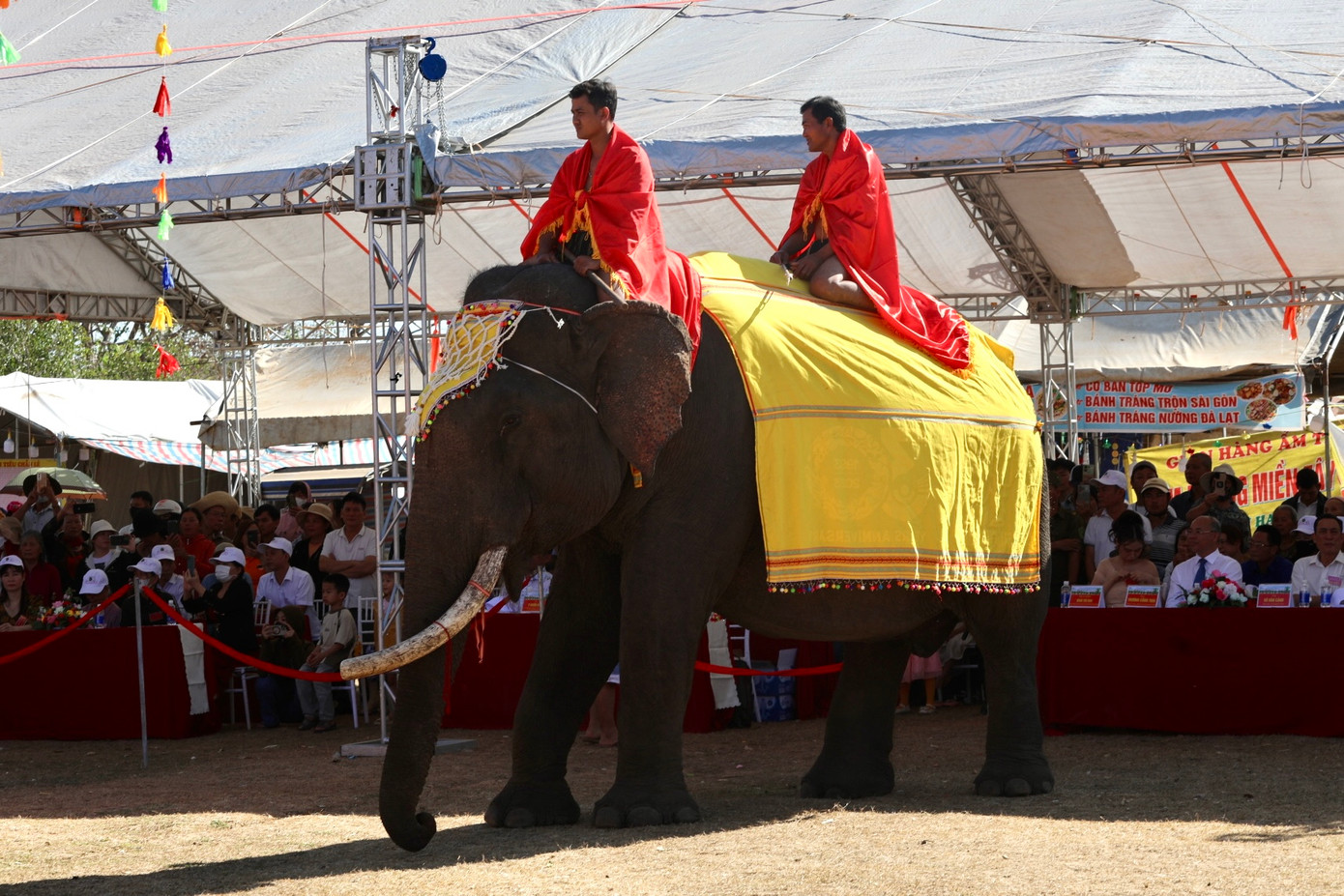 Năm nay, hội voi có 6 con voi tham gia, trong đó 2 con của Trung tâm du lịch cầu treo Buôn Đôn và 4 con của người dân trên địa bàn huyện. Các con voi có tuổi đời từ 39-53 tuổi.