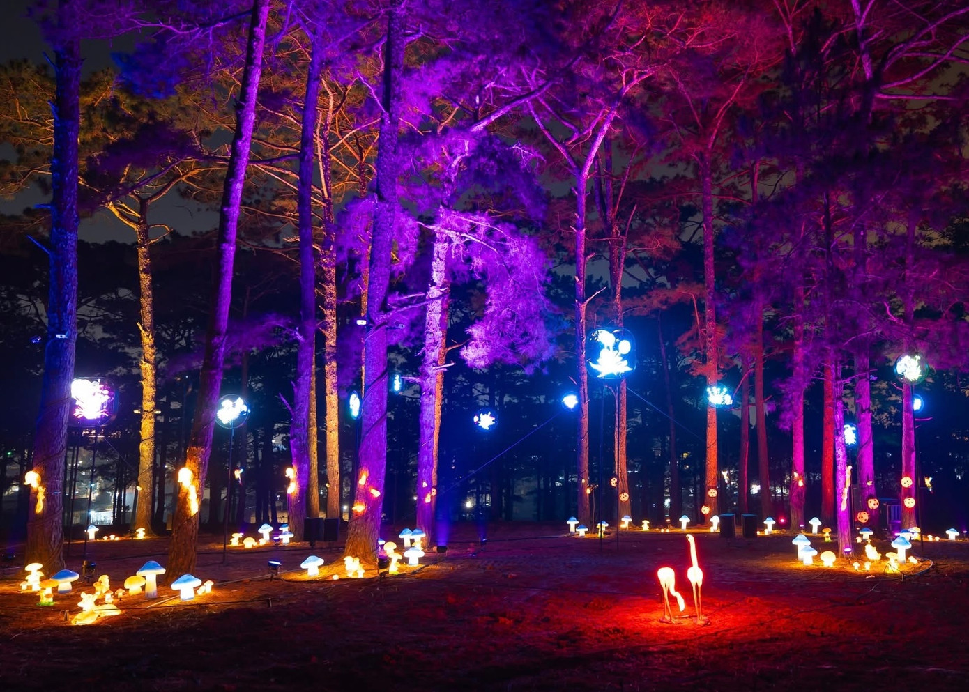 Công viên có hơn 3 triệu bóng đèn LED, hàng trăm mô hình hoa nghệ thuật và hàng chục điểm check-in công nghệ cao tạo nên một không gian “sống ảo” chưa từng có tại Việt Nam.