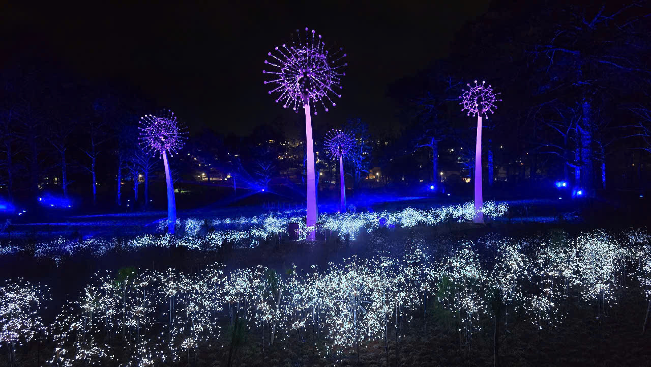 Không gian hàng chục ha được thắp sáng rực rỡ, biến cao nguyên mộng mơ thành “thung lũng ánh sáng” về đêm.