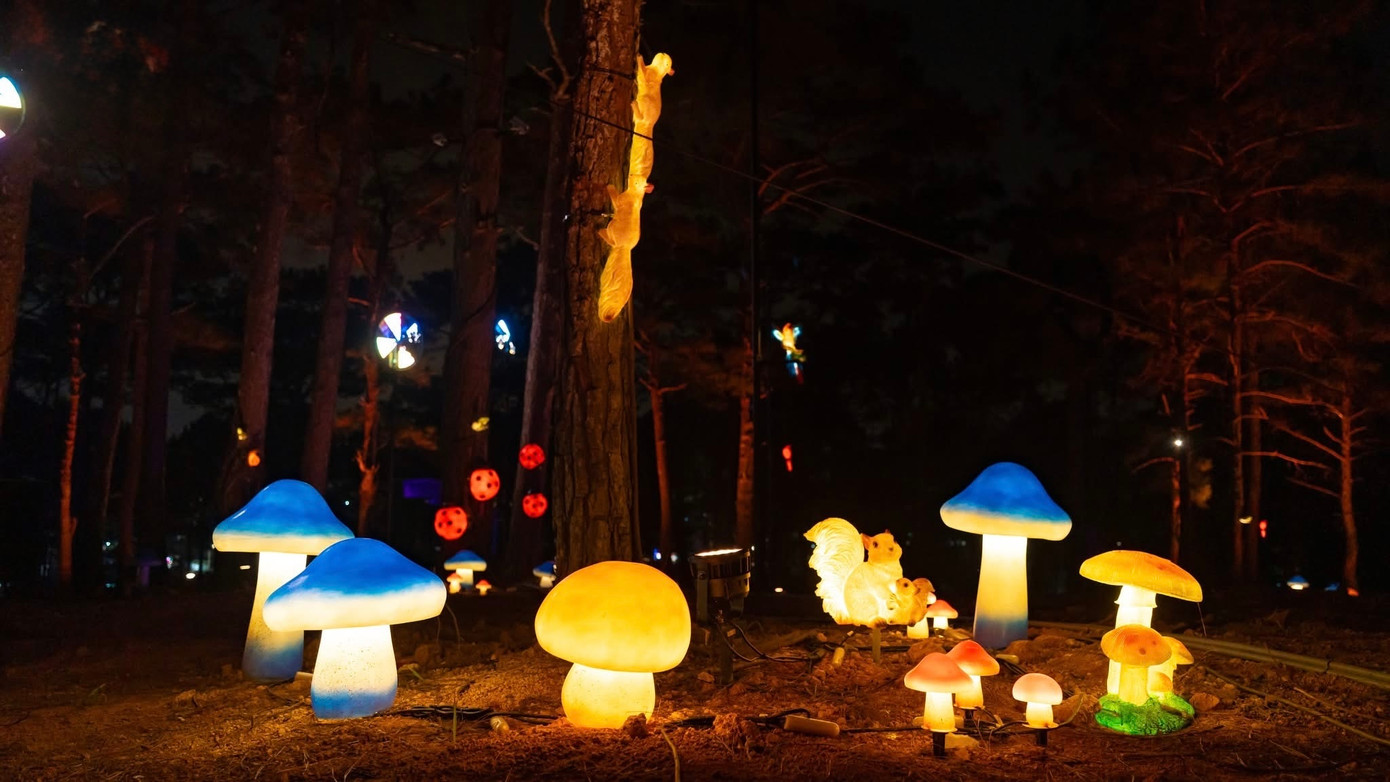 Việc chiếu sáng được thực hiện theo dạng có kịch bản, bám sát những câu chuyện về Đà Lạt, sử thi Tây Nguyên.