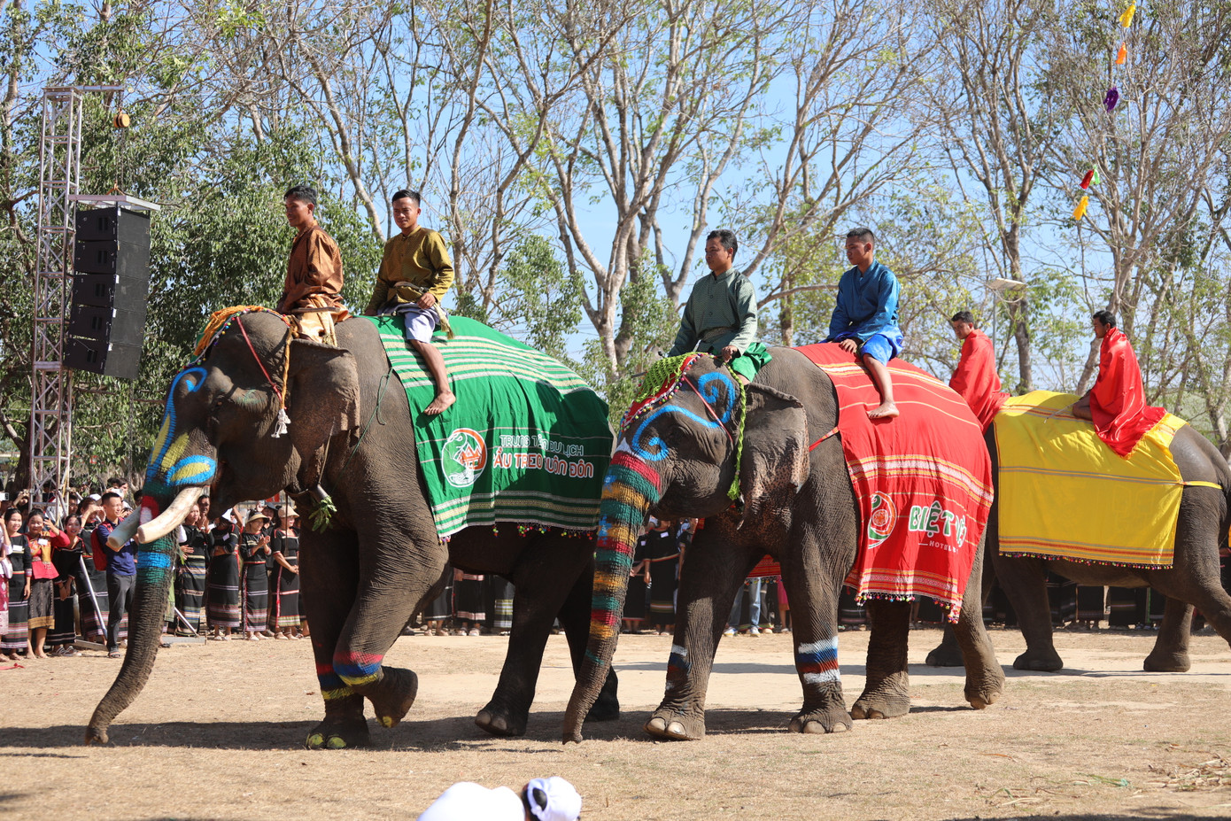 Năm nay, hội voi có 6 con voi tham gia, trong đó 2 con của Trung tâm du lịch cầu treo Buôn Đôn và 4 con của người dân trên địa bàn huyện. Các con voi có tuổi đời từ 39-53 tuổi.
