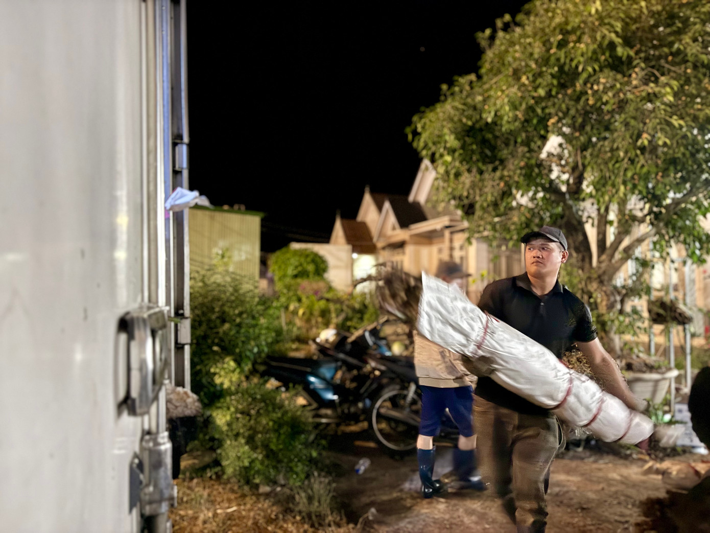 Các bó hoa lay ơn được bó gọn gàng, sau đó vận chuyển lên xe lạnh để vận chuyển về các tỉnh, thành phố. Ảnh: Thái Lâm.