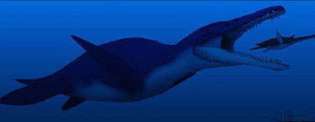Hóa thạch hộp sọ của loài thú này cho thấy nó là một trong những quái vật biển lớn nhất và nguy hiểm nhất. Ảnh: BBC