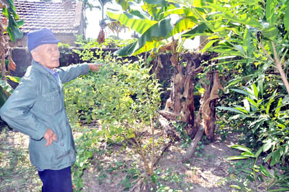 Một người trong thôn chỉ về phía bụi rậm, nơi Hoàn nấp trước khi vào nhà giết bà Cúc