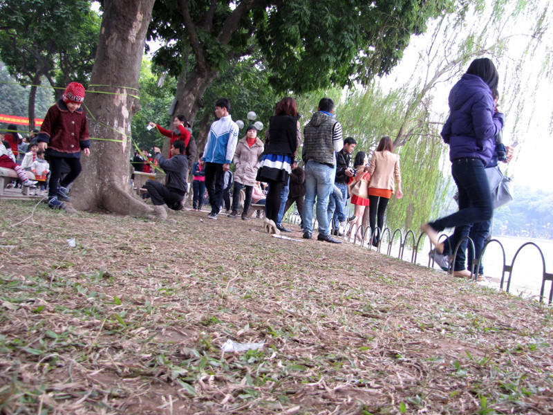 Cỏ xanh ở khu vực trưng bày hoa bị giẫm không thương tiếc