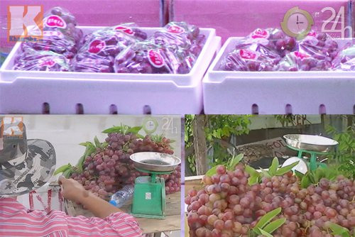 Thực tế đây là nho Trung Quốc, có giá bán tại chợ đầu mối Thủ Đức 6.000đ/kg. Tuy nhiên, chúng đã được bóc khỏi bao bì, sau đó mạo danh nho Ninh Thuận