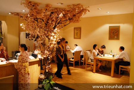 Không gian nhà hàng Asahi Sushi – 288 Bà Triệu, Hà Nội. Không gian nhà hàng Asahi Sushi – 288 Bà Triệu, Hà Nội