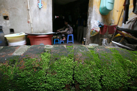 Giếng có độ sâu khoảng 8m, thành cao để tránh nước bẩn vào giếng. Trước năm 2000, nước vẫn trong và còn được sử dụng cho việc tắm giặt