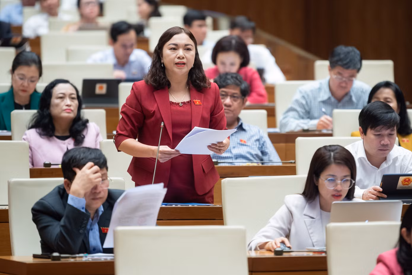 Đại biểu Đặng Bích Ngọc (tỉnh Hòa Bình) Đại biểu Đặng Bích Ngọc (tỉnh Hòa Bình)