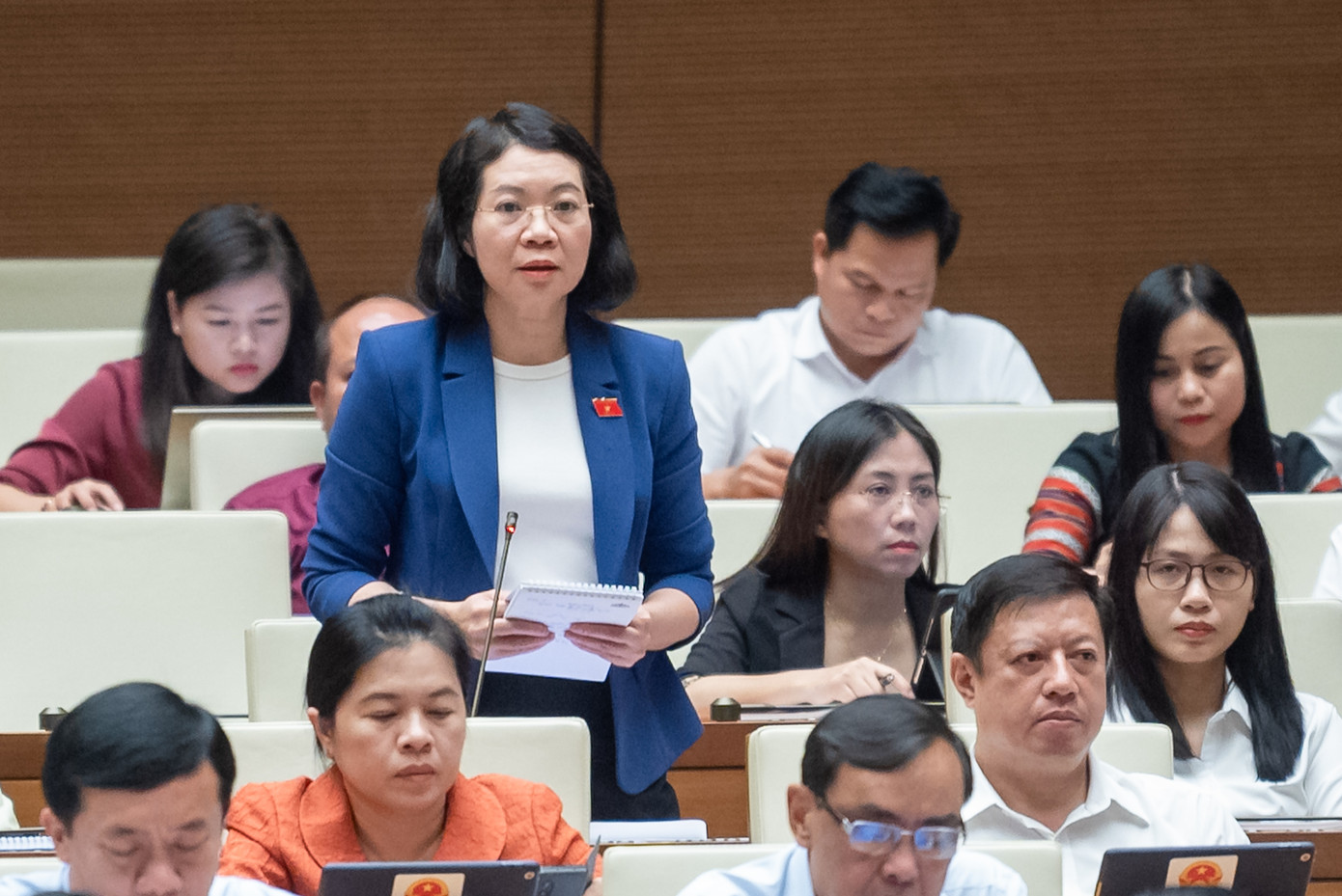 Phó Chủ nhiệm Ủy ban Tư pháp Mai Thị Phương Hoa (Nam Định)