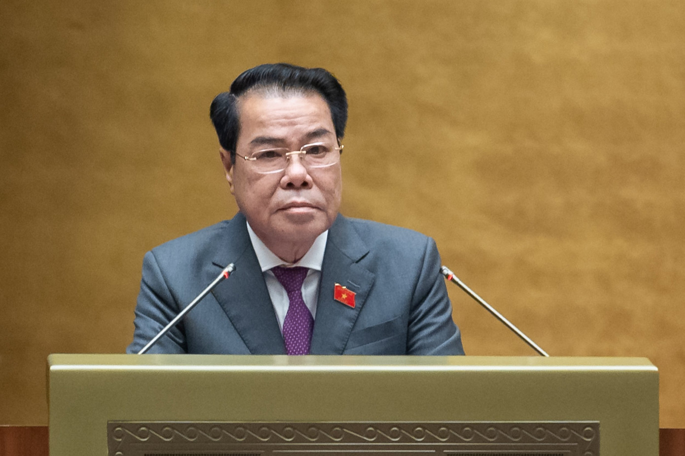 Trưởng ban Dân nguyện Dương Thanh Bình. (Ảnh: Như Ý)