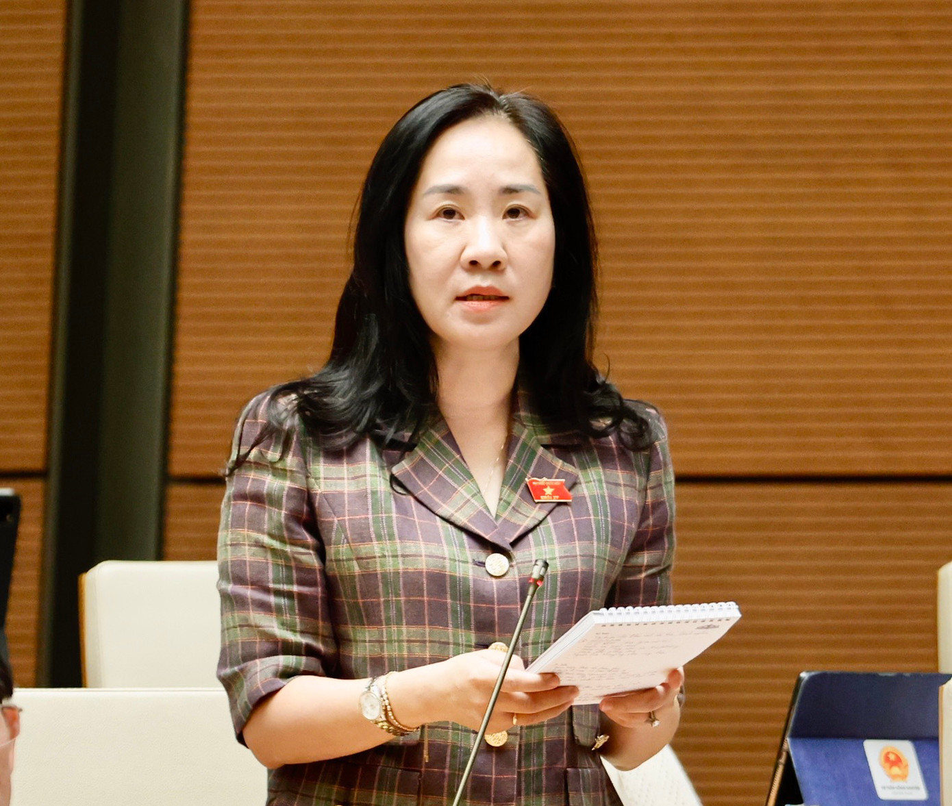 Đại biểu Đoàn Thị Thanh Mai (Hưng Yên). Ảnh: Như Ý Đại biểu Đoàn Thị Thanh Mai (Hưng Yên). Ảnh: Như Ý