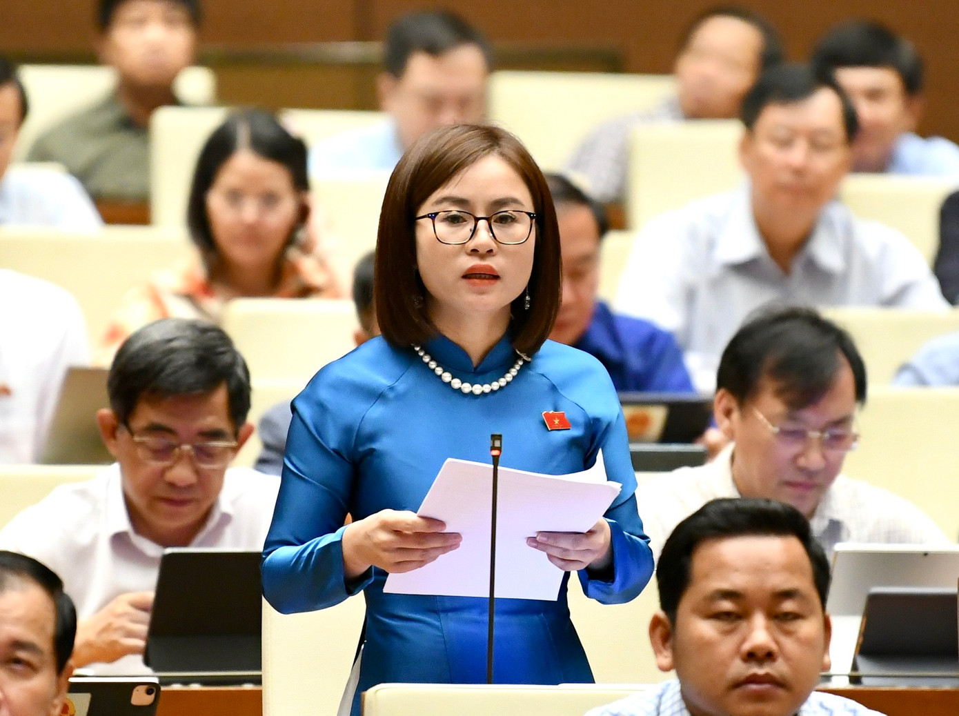 Đại biểu Nguyễn Việt Hà (Đoàn ĐBQH tỉnh Tuyên Quang)