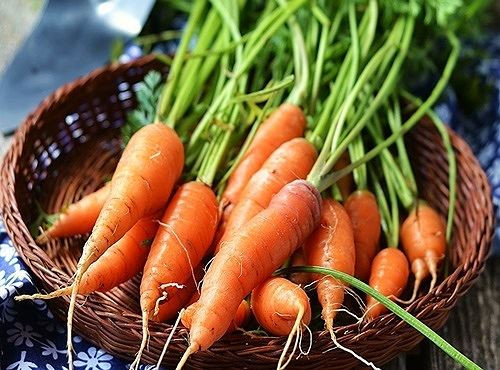 Những nguyên nhân không ngờ gây rụng tóc ảnh 2