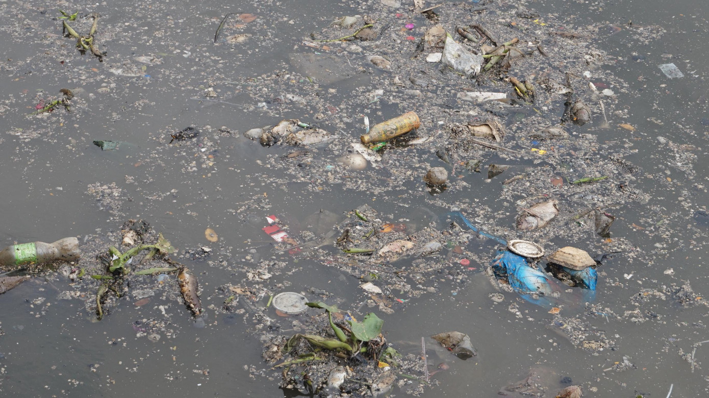 Cũng vì vậy mà bắt đầu vào mùa này, công ty sẽ tăng cường nhân viên môi trường gom, vớt rác cũng như vớt cá chết để giữ dòng kênh luôn sạch sẽ.