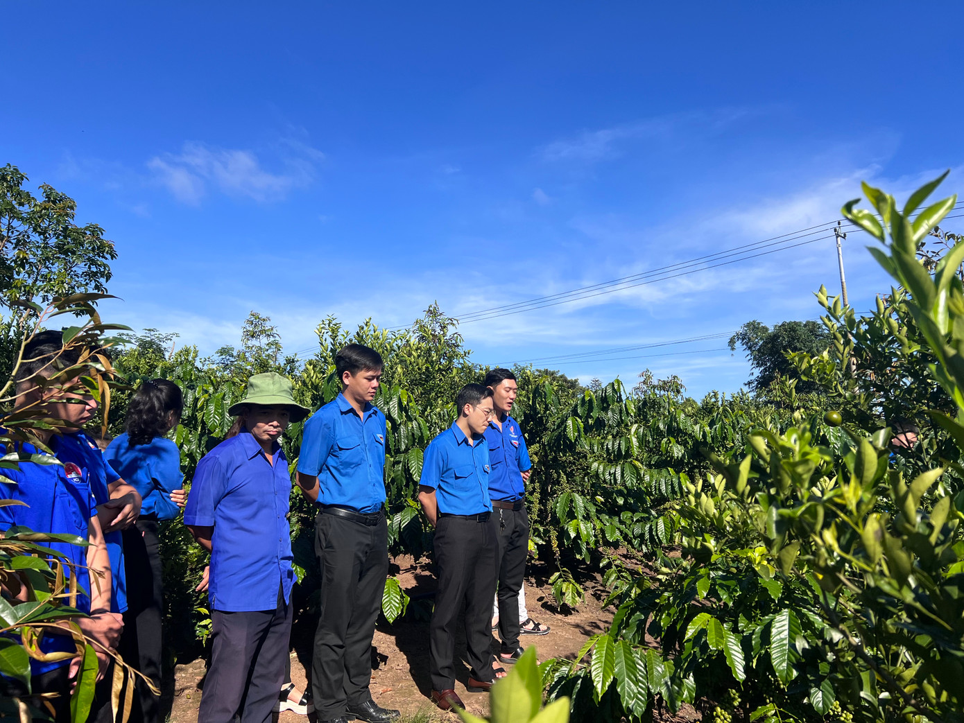 ĐVTN tham quan, học tập mô hình cây ăn quả điển hình của đoàn viên Huỳnh Thanh Duy