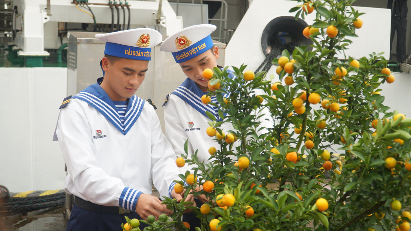 Theo đó, tổng số quà trong đợt công tác trao tặng bà con trên 2 huyện đảo gồm: 280 suất quà, 100 tấm chăn, 400 đầu sách với tổng giá trị gần 500 triệu đồng. Trong ảnh: Các chiến sĩ Vùng 3 Hải quân buộc cành, chuẩn bị trùm tấm phủ trước khi vận chuyển cây quất Tết lên tàu chở ra đảo để tránh rụng lá và quả. Ảnh: Thái Lâm.