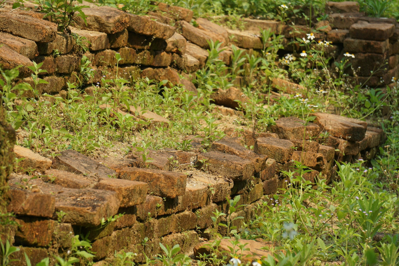 Hơn 10 năm phát hiện, dù chưa được công nhận là di tích cấp thành phố, nhiều gia đình người dân sống trong khu vực hằng ngày vẫn chăm chút cho di tích, chờ ngày di dời, giải tỏa.