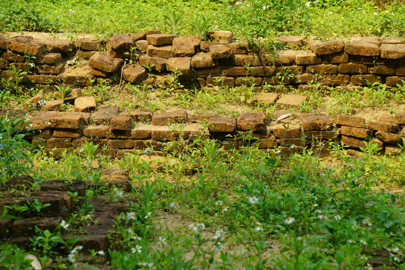 Hơn 10 năm phát hiện, dù chưa được công nhận là di tích cấp thành phố, nhiều gia đình người dân sống trong khu vực hằng ngày vẫn chăm chút cho di tích, chờ ngày di dời, giải tỏa.