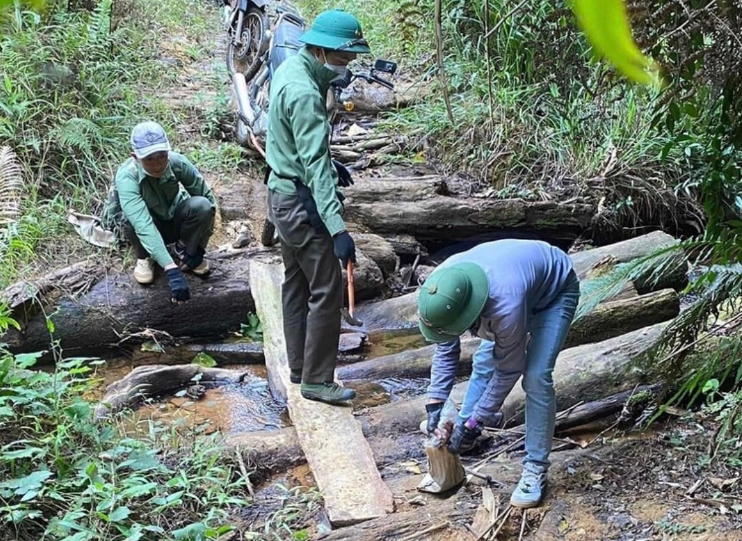 Nhân viên kiểm lâm nghỉ việc hàng hoạt khiến các chủ rừng ở Kon Tum thiếu hụt nhân lực trầm trọng