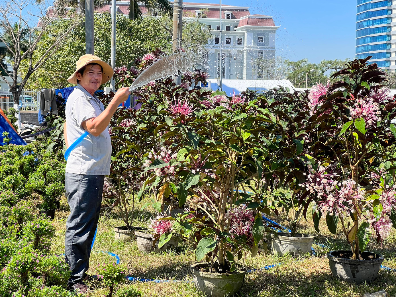 Nhiều loại hoa độc đáo, chất lượng đẹp như cây pháo hoa, cúc kiểng giống nước ngoài...được các tiểu thương trưng bày, giới thiệu để kích thích sức mua của khách hàng.