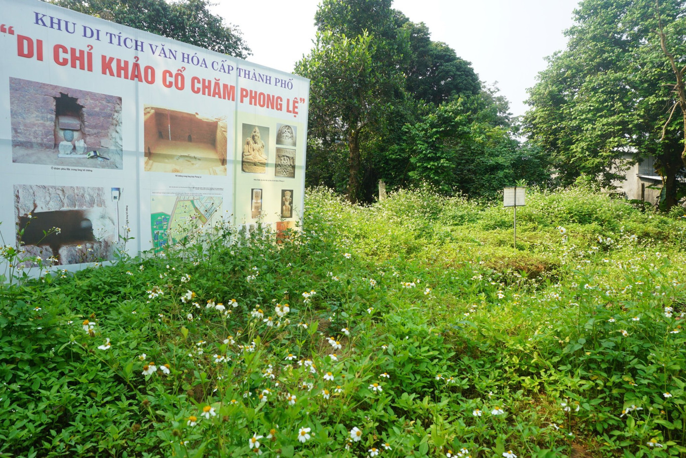 Ngày 23/1/2021, Di chỉ khảo cổ Chăm Phong Lệ (phường Hòa Thọ Đông, quận Cẩm Lệ) được UBND thành phố Đà Nẵng công nhận là Di tích khảo cổ cấp thành phố. Với những giá trị lớn về văn hóa - lịch sử cũng như tiềm năng phát triển du lịch của thành phố. Ảnh: Thái Lâm.