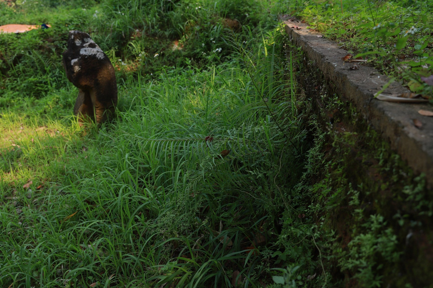 Đà Nẵng vừa ban hành Quyết định số 153/QĐ-UBND về Phê duyệt điều chỉnh một số nội dung tại Đề án khảo cổ và phát huy giá trị khu di tích Chăm Phong Lệ. Theo đó, điều chỉnh mức vốn đầu tư gồm nguồn vốn ngân sách thành phố và các nguồn vốn kêu gọi đầu tư hợp pháp khác, tổng mức đầu tư dự kiến là 266.796.000.000 đồng (hơn 266 tỷ đồng).