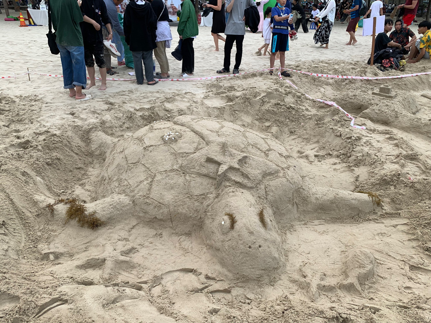 Ông Nguyễn Đức Vũ, Trưởng ban quản lý bán đảo Sơn Trà và các bãi biển Đà Nẵng cho biết: &quot;Cuộc thi diễn ra với mục đích làm đa dạng các hoạt động tuyên truyền, quảng bá hình ảnh du lịch biển, làm phong phú thêm chuỗi các sự kiện của chương trình quảng bá du lịch thành phố Đà Nẵng. Đồng thời kêu gọi cộng đồng chung tay bảo vệ môi trường biển đảo&quot;.