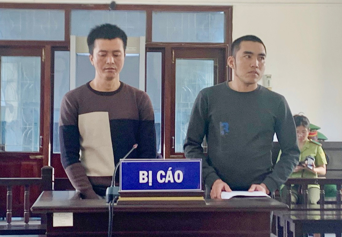 Hai bị cáo lãnh 36 tháng tù vì khai thác gỗ trái phép Hai bị cáo lãnh 36 tháng tù vì khai thác gỗ trái phép