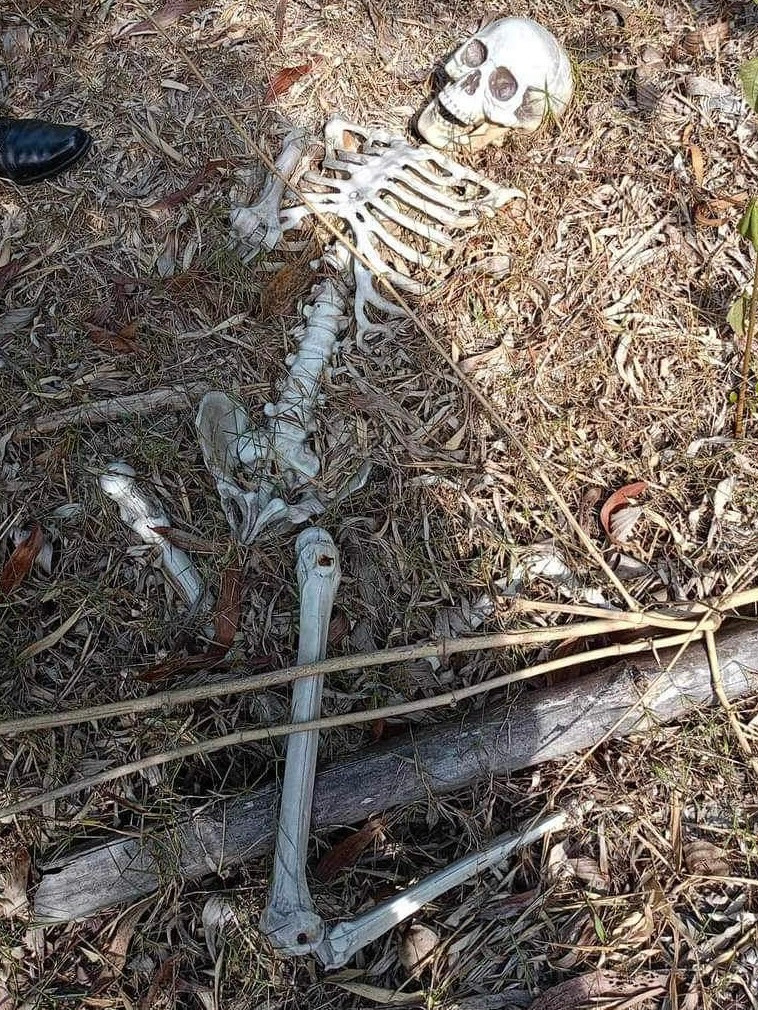 Qua xác minh, bộ xương người được cho chỉ là mô hình. Ảnh: CTV. Qua xác minh, bộ xương người được cho chỉ là mô hình. Ảnh: CTV.