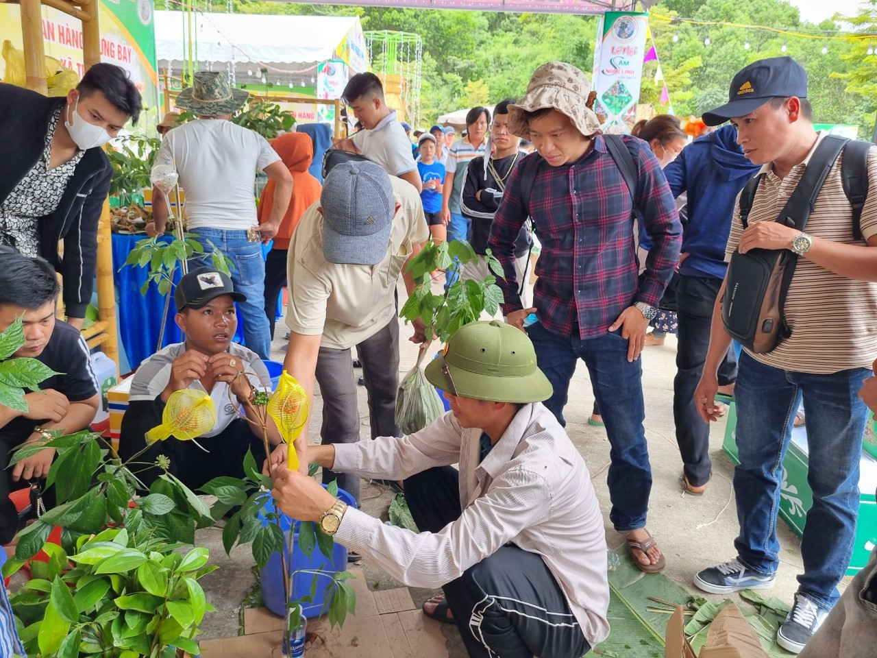 Chợ Sâm Ngọc Linh huyện Nam Trà My (Quảng Nam) sẽ bắt đầu từ ngày 1/8 và kéo dài đến hết ngày 3/8.