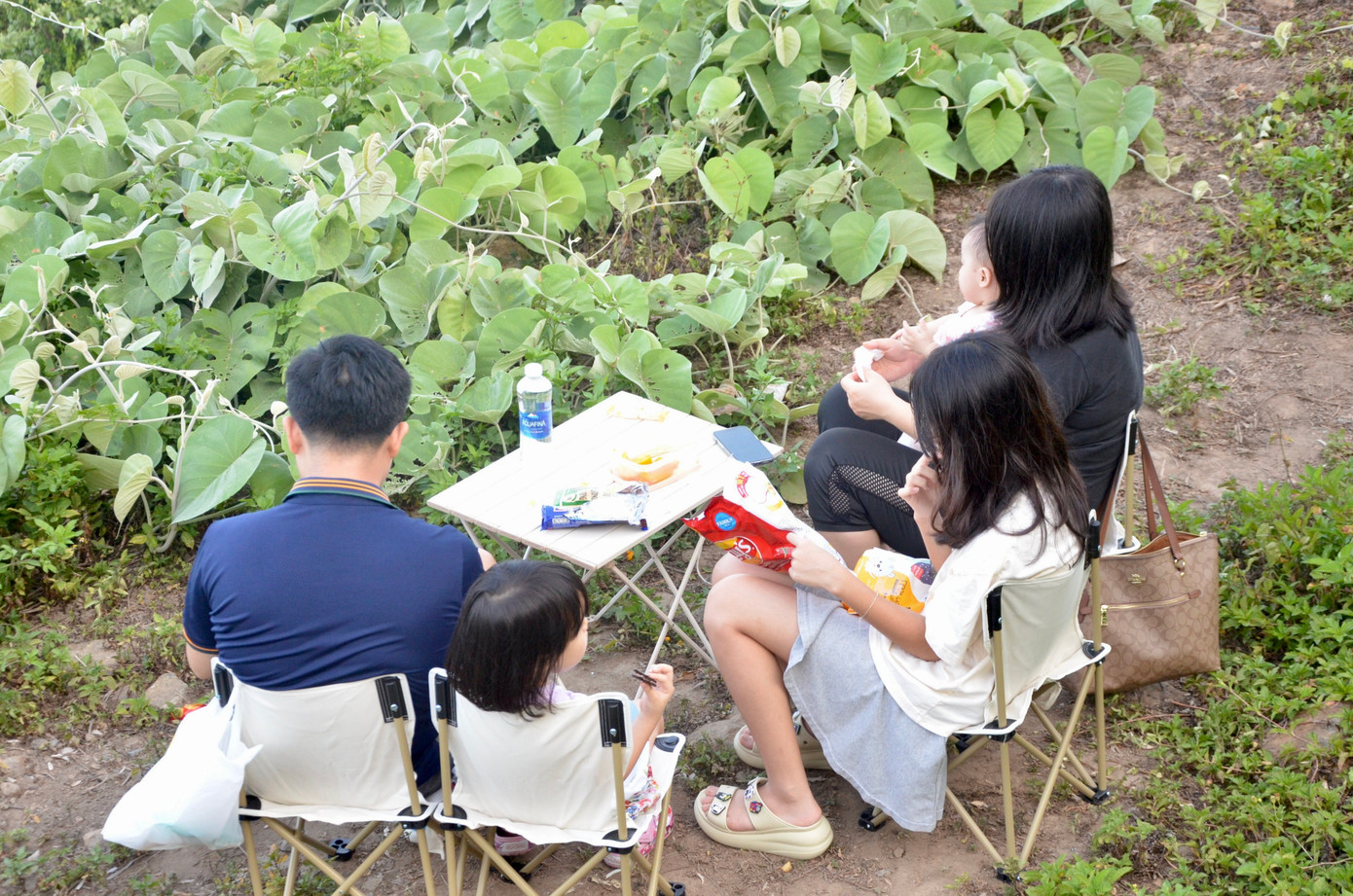 Nhiều gia đình mang theo thức ăn nhẹ, ăn nghỉ luôn dưới tán cây đến khi mặt trời lặn mới ra về.