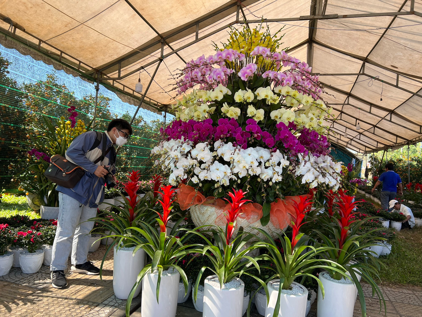 Du khách tò mò, tham quan, chụp hình cùng chậu hoa lan 5 tầng, trị giá 100 triệu tại chợ hoa Tết.