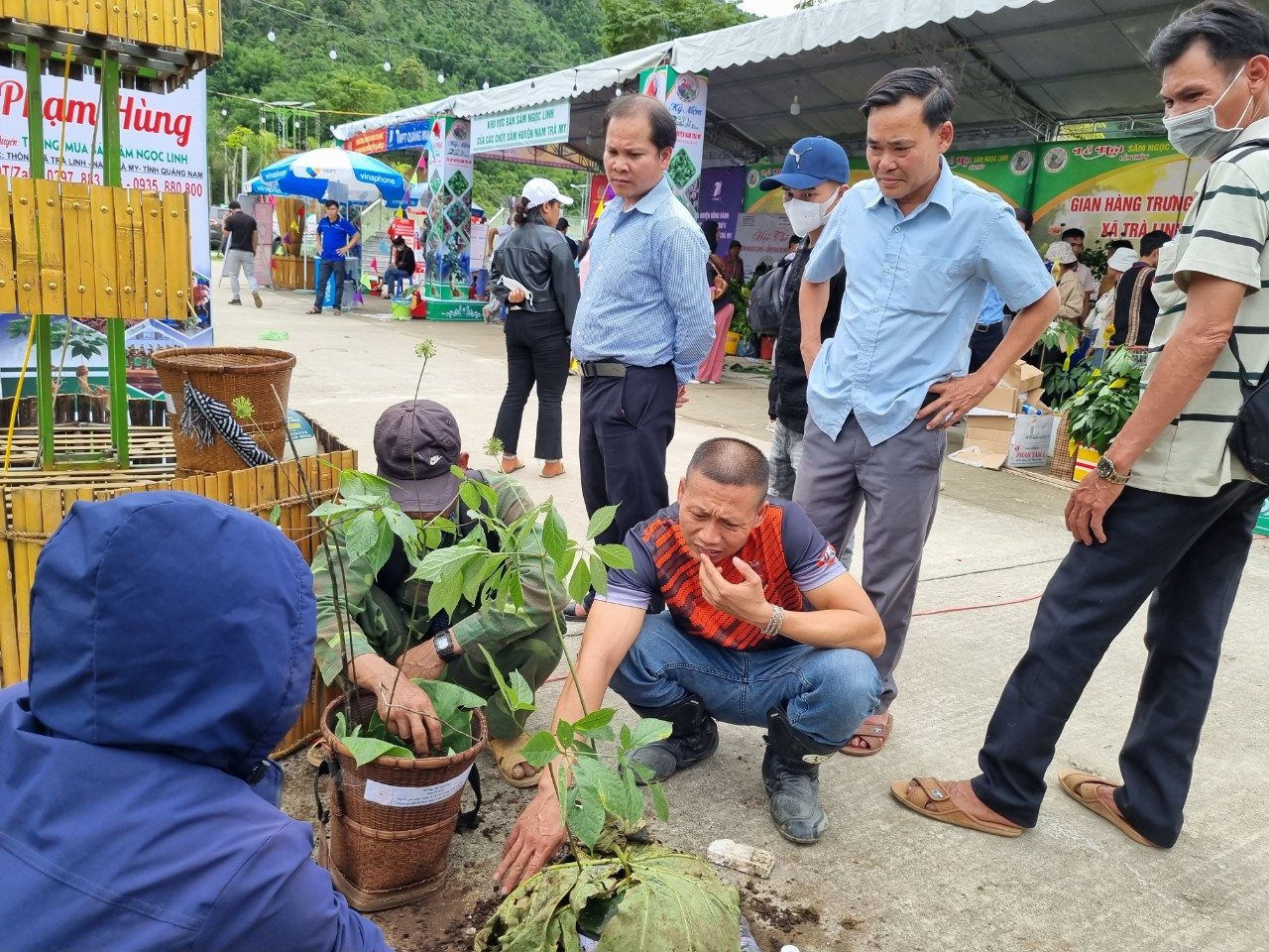 Chợ Sâm Ngọc Linh huyện Nam Trà My (Quảng Nam) sẽ bắt đầu từ ngày 1/8 và kéo dài đến hết ngày 3/8.