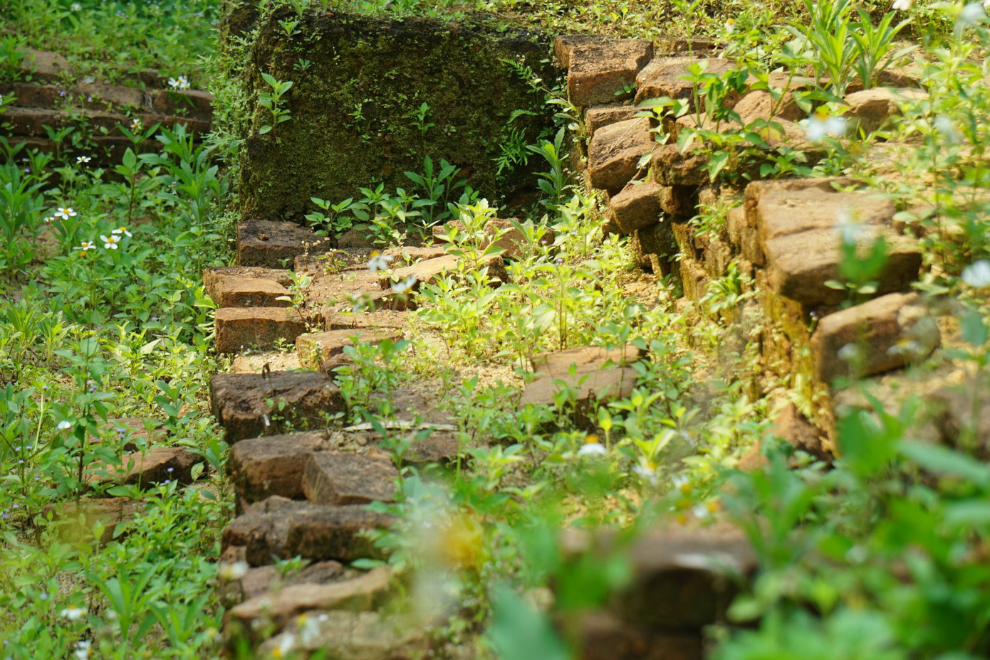 Theo nhà nghiên cứu Võ Văn Thắng (nguyên Giám đốc Bảo tàng điêu khắc Chăm Đà Nẵng), Di chỉ khảo cổ Phong Lệ hội tụ đủ các yếu tố thiên thời, địa lợi, nhân hòa để phát triển thành một không gian văn hóa - lịch sử - du lịch. Là nơi tiêu biểu cho văn hóa Chăm ở Đà Nẵng.