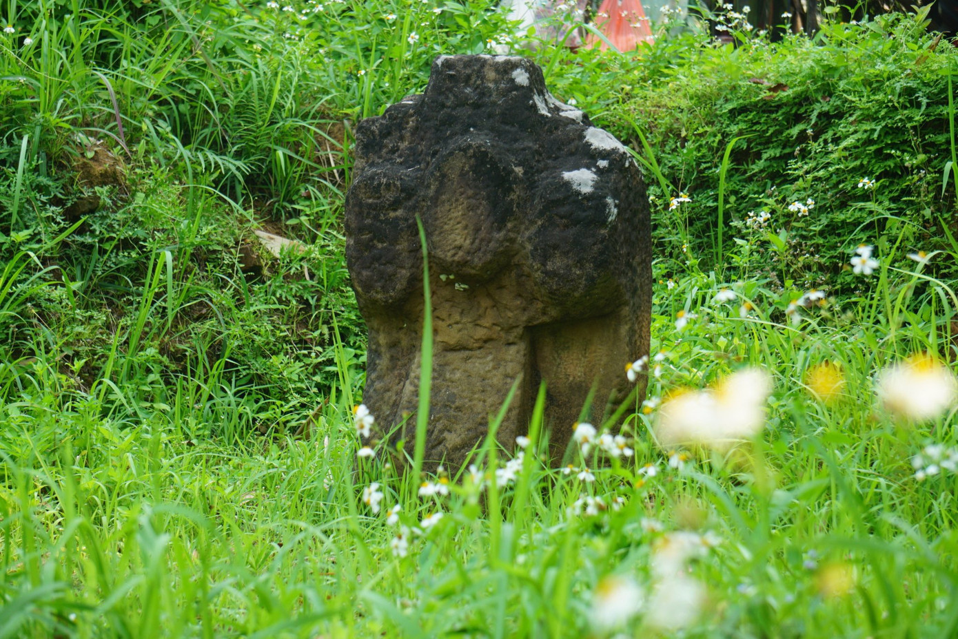 Muốn đẩy nhanh lộ trình bảo tồn và phát huy giá trị di chỉ này, cần phải có sự tham gia tích cực của nhiều ngành, đơn vị, chức năng có thẩm quyền chung tay thực hiện.
