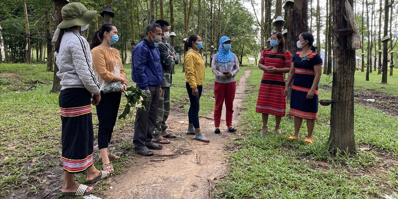 Một số mô hình kinh tế tập thể, HTX đã tạo việc làm và thu nhập ổn định cho phụ nữ DTTS Một số mô hình kinh tế tập thể, HTX đã tạo việc làm và thu nhập ổn định cho phụ nữ DTTS