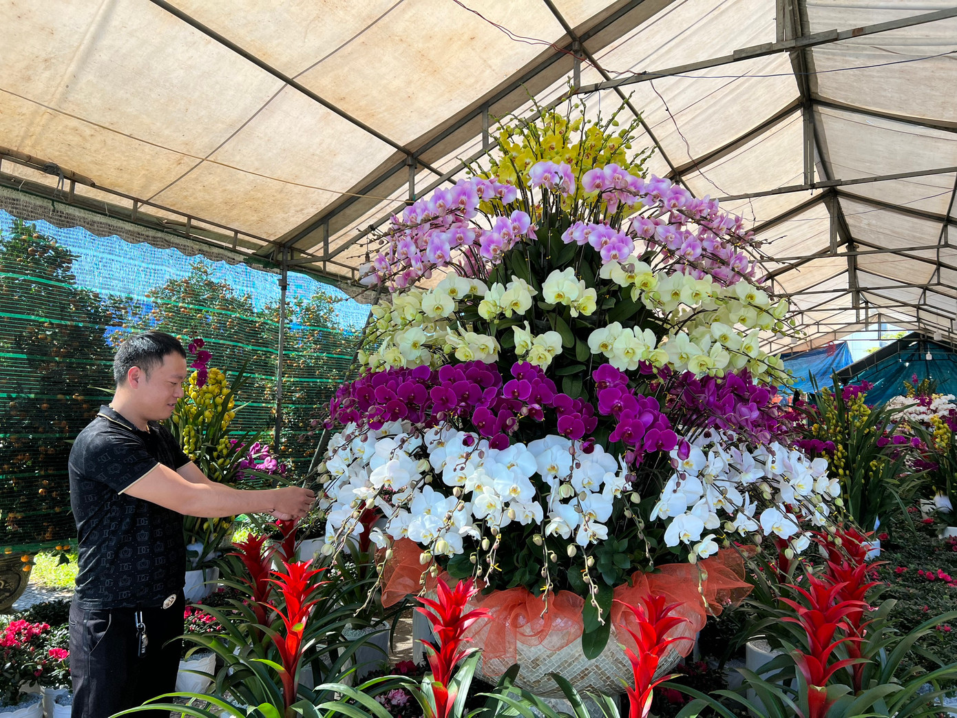 Theo anh Đỗ Gia Đạt (thương lái hoa lan ở Quảng Trị), giá hoa lan năm nay bình ổn so với năm ngoái. "Hoa tôi đã được bày bán nhiều ngày, thế nhưng sức tiêu thụ rất chậm so với năm trước", anh Đạt cho hay.