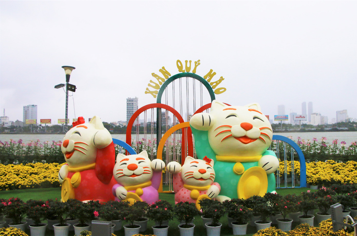 Dọc đường Bạch Đằng ven sông Hàn, khuôn viên khu vực cầu Rồng và cầu sông Hàn, các công nhân đang khẩn trương dọn dẹp, trang trí con đường hoa Tết Quý Mão 2023 sẽ được khai trương vào ngày mai. Trong ảnh là bầy mèo béo dễ thương. Ảnh: Thái Lâm.