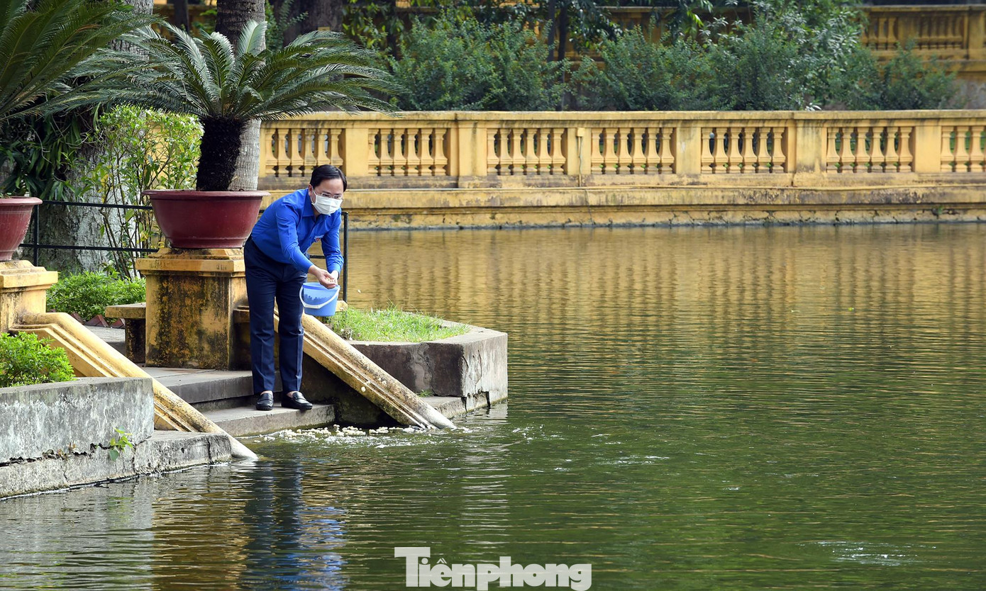 Đoàn đã thăm Khu ao cá Bác Hồ