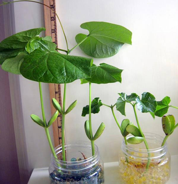 quà tặng, 8/3 quà tặng, 8/3