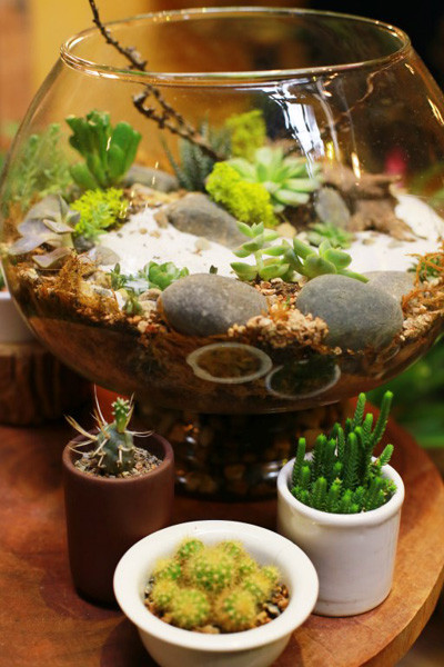 quà tặng, 8/3 quà tặng, 8/3